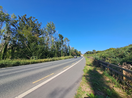 Rathnew to Glenealy